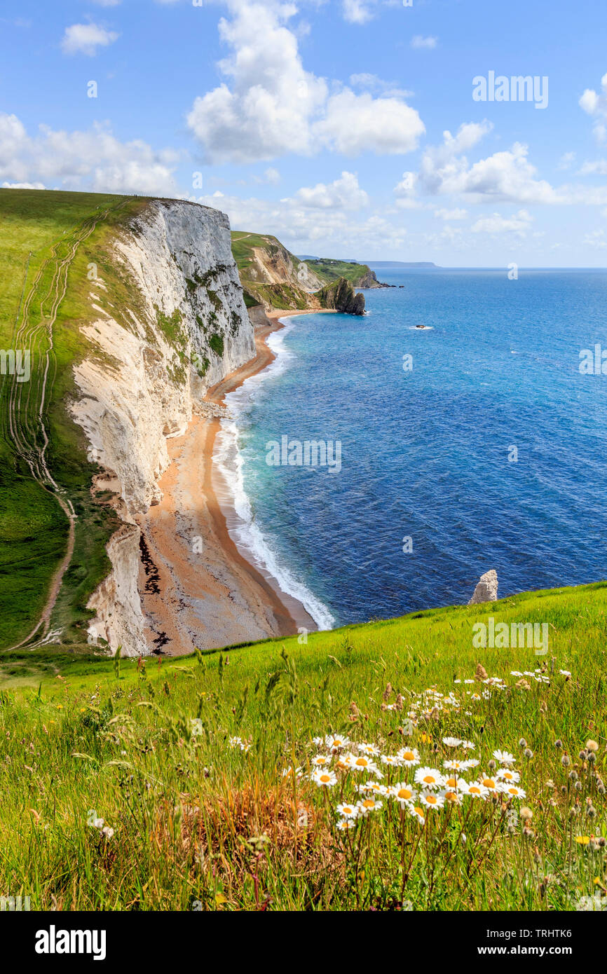 bat head,walk from durdle door to osmingon bay jurassic heritage coastline dorset england uk gb Stock Photo