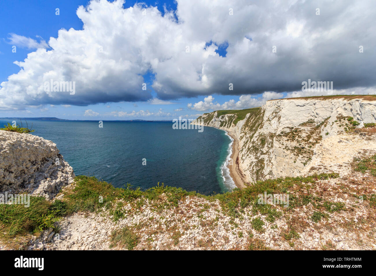 bat head,walk from durdle door to osmingon bay jurassic heritage coastline dorset england uk gb Stock Photo