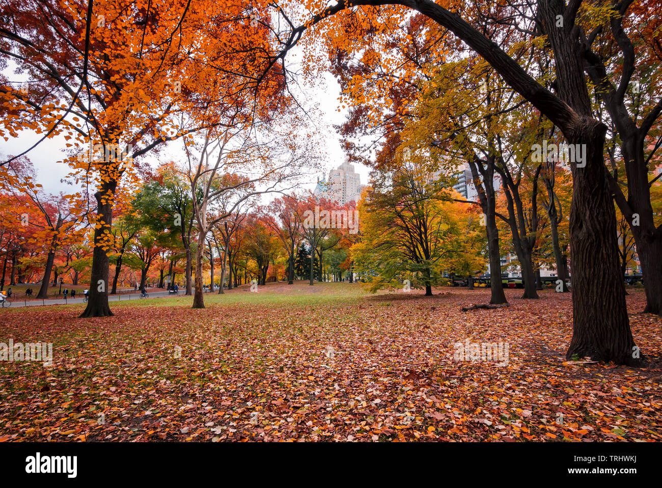 Scene at Central Park's south side on a cloudy autumn day Stock Photo