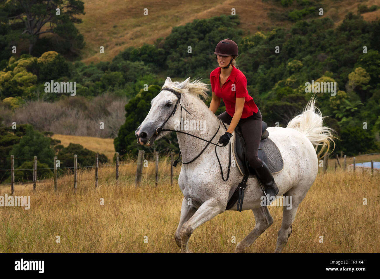 White polo shirt red cheap horse