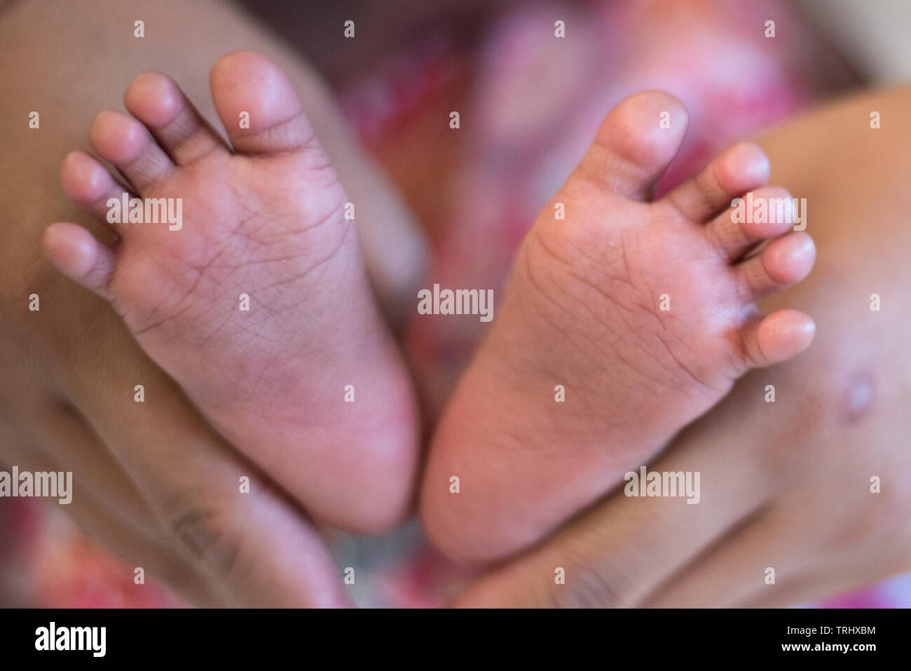 Close up of mother holding baby's feet Stock Photo