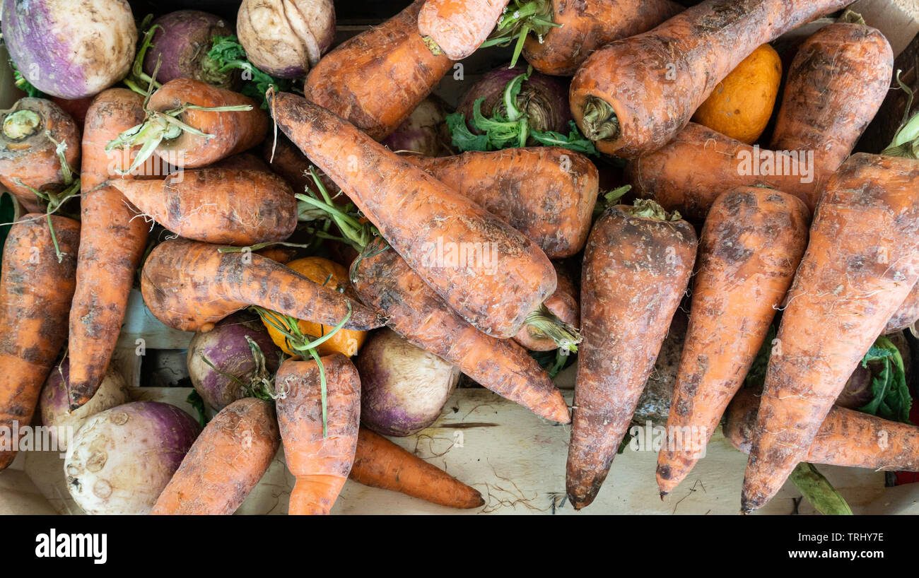 Reduced price loose Carrots and veg on market stall in Spain. Stock Photo