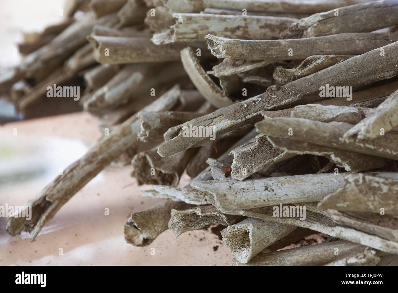 Stack of human bones at Choeung Ek Genocide Memorial at the Killing Fields,  Phnom Penh, Cambodia, Asia Stock Photo