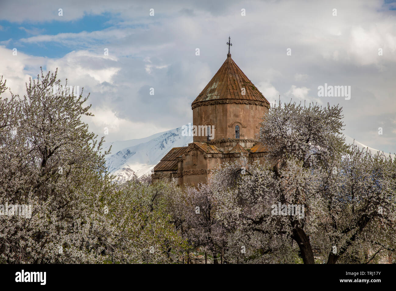 Amazing spring view of Armenian Church of the Holy Cross on Akdamar Island (Akdamar Adasi), Lake Van/Turkey. Surrounded by tree in blossom, in a middl Stock Photo