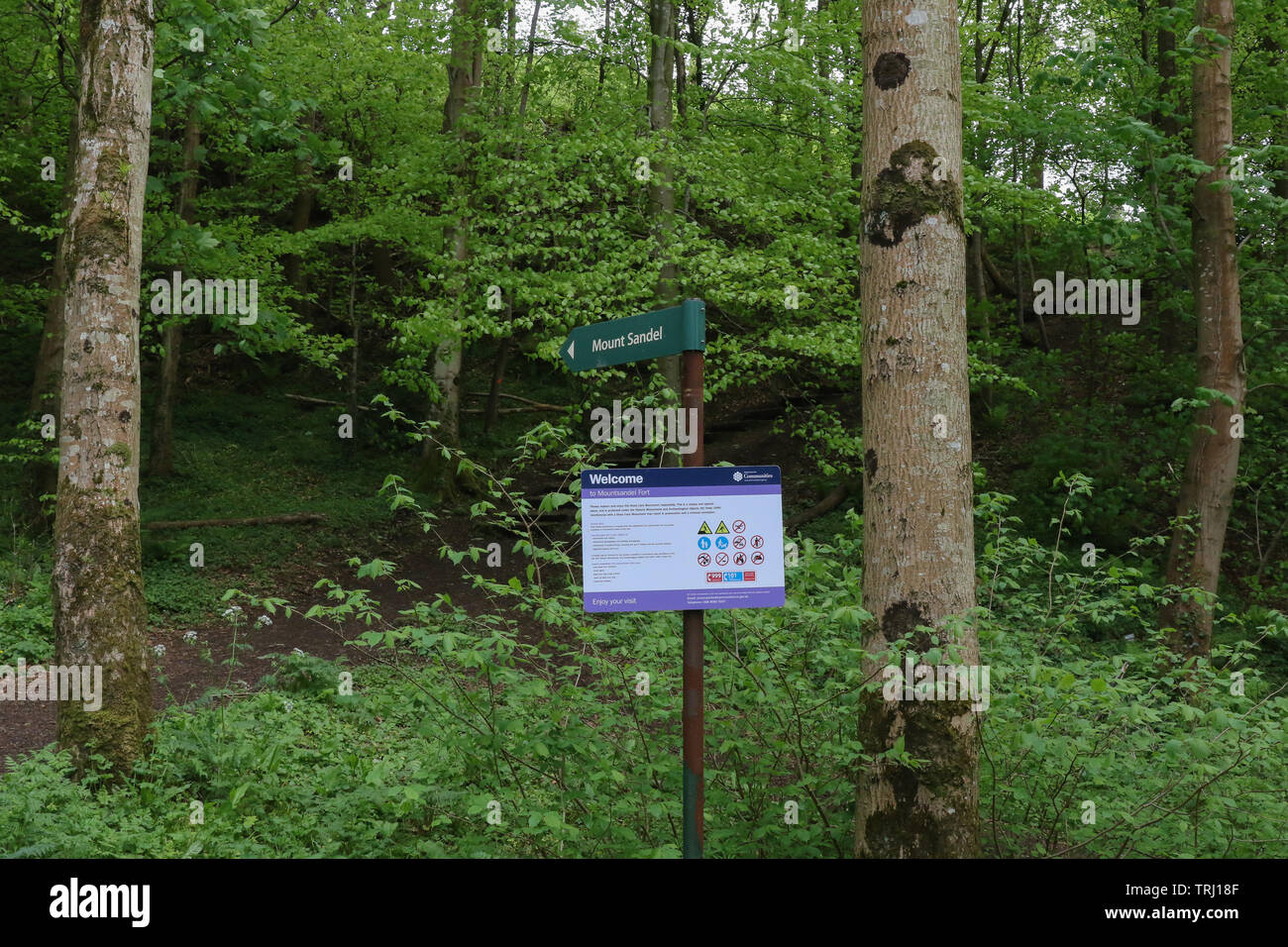 Information and direction sign on the lower woodland path at