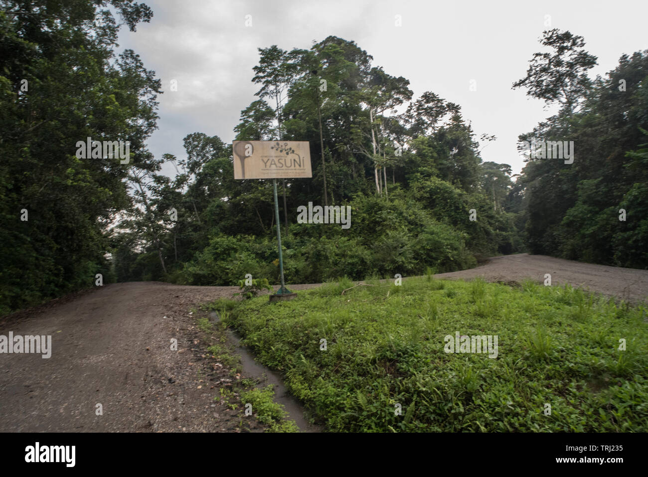 The road leading into Yasuni national park in Ecuador. It leads through the Amazon rainforest. Stock Photo