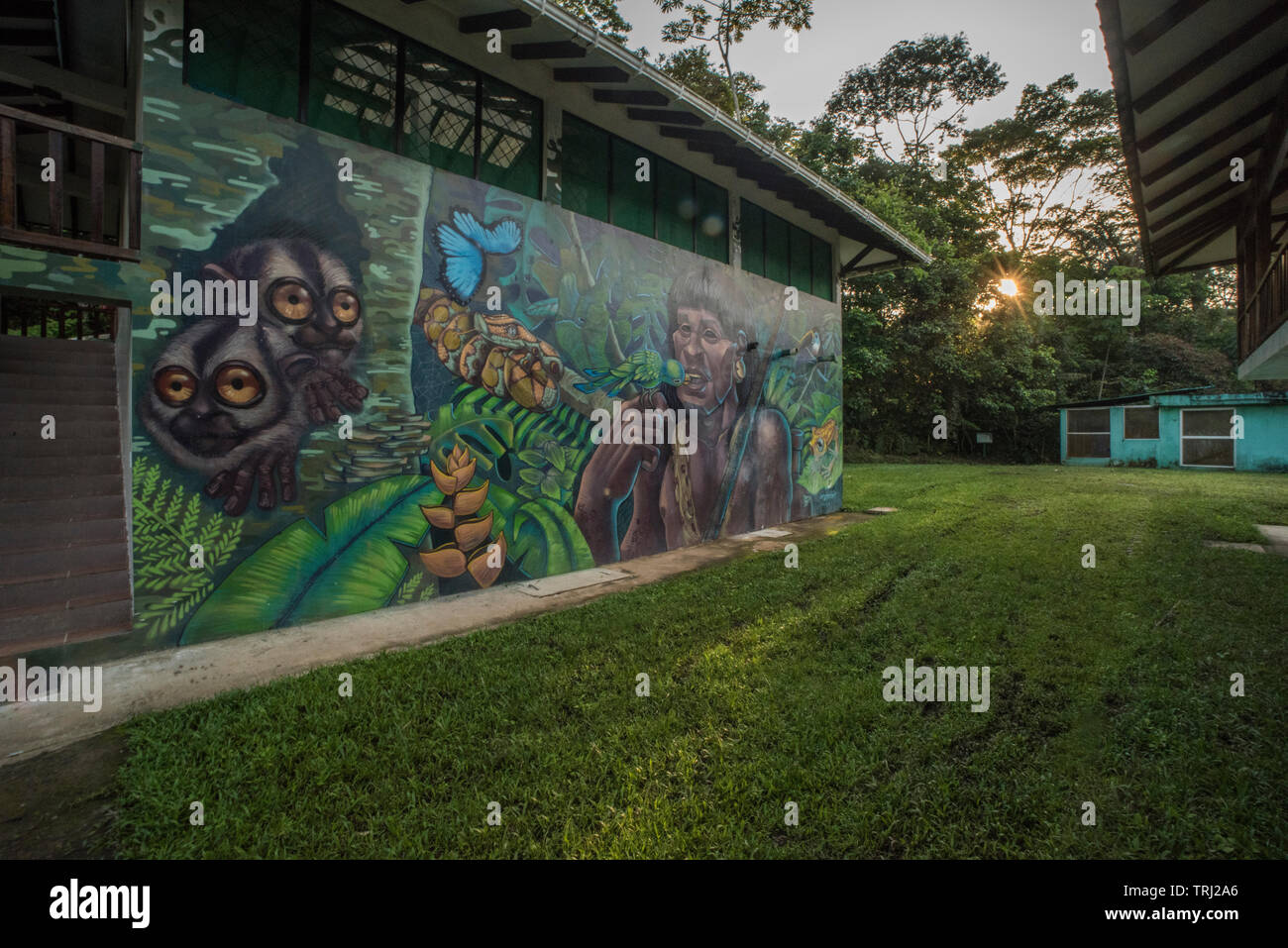 The sun sets over Yasuni research station in Ecuador, a mural depicting nature is visible on the side of a building. Stock Photo