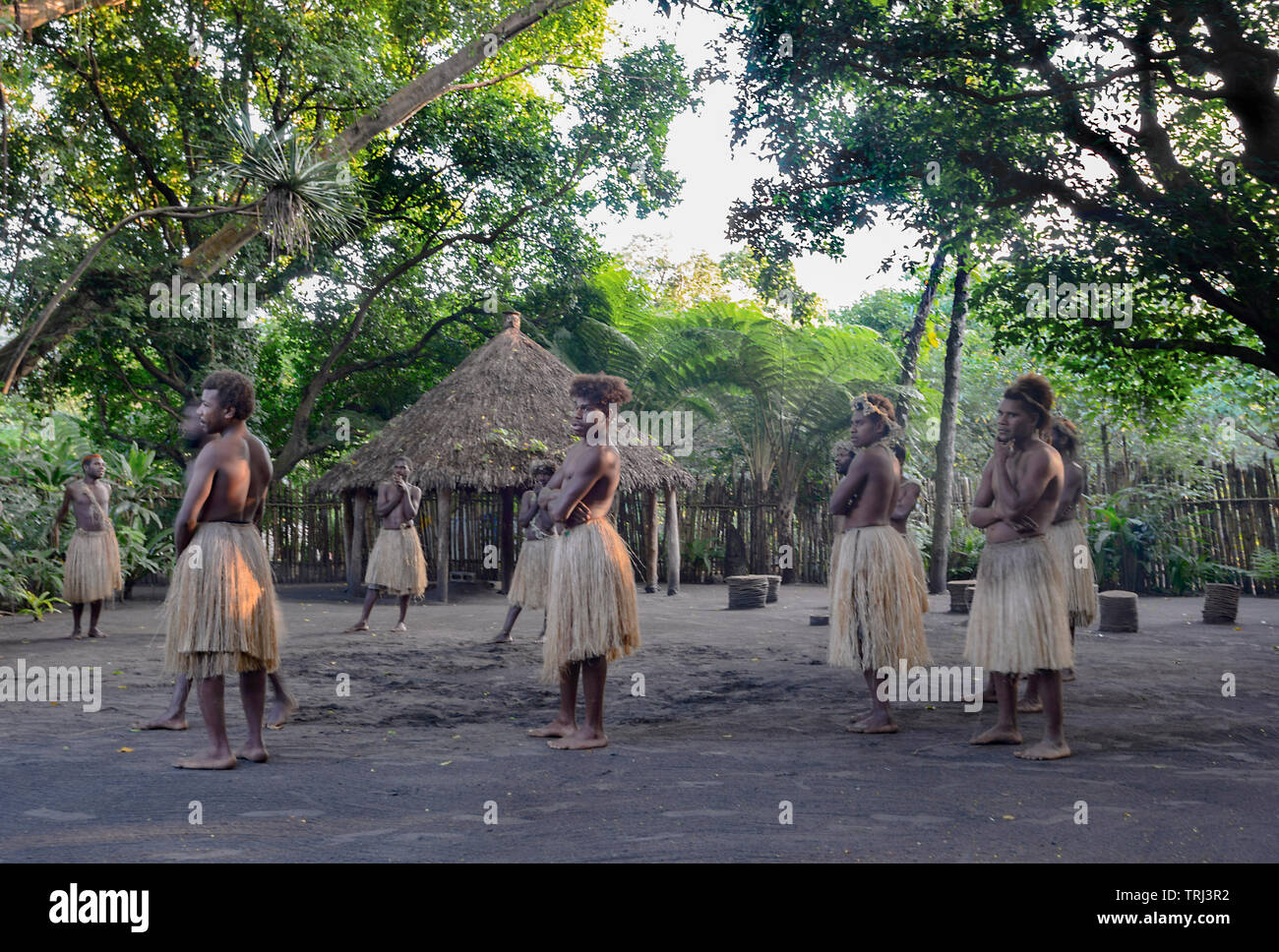 Traditional welcome ceremony by locals wearing grass skirts, Tanna Island, Vanuatu, Melanesia Stock Photo