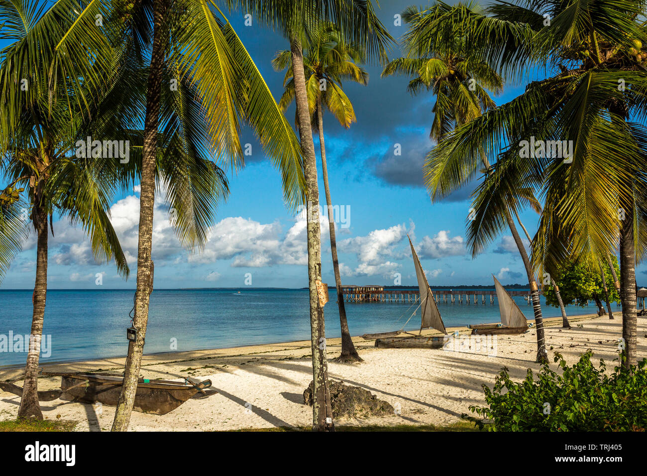 A tropical beach with coconut palms in Zanzibar, Tanzania Stock Photo