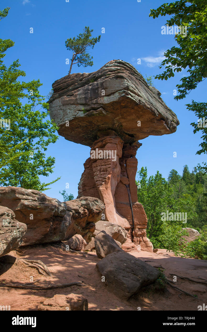 Devil's table (german: Teufelstisch), red sandstone formation at biospere reserve Palatinate forest, Hinterweidenthal, Rhineland-Palatinate, Germany Stock Photo