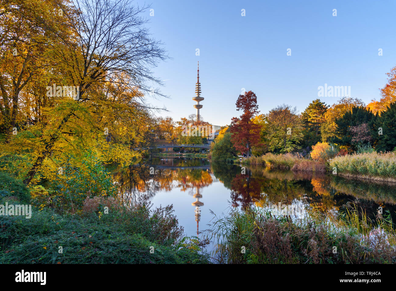 City park Planten un Blomen at autumn. View of Heinrich Hertz Tower is