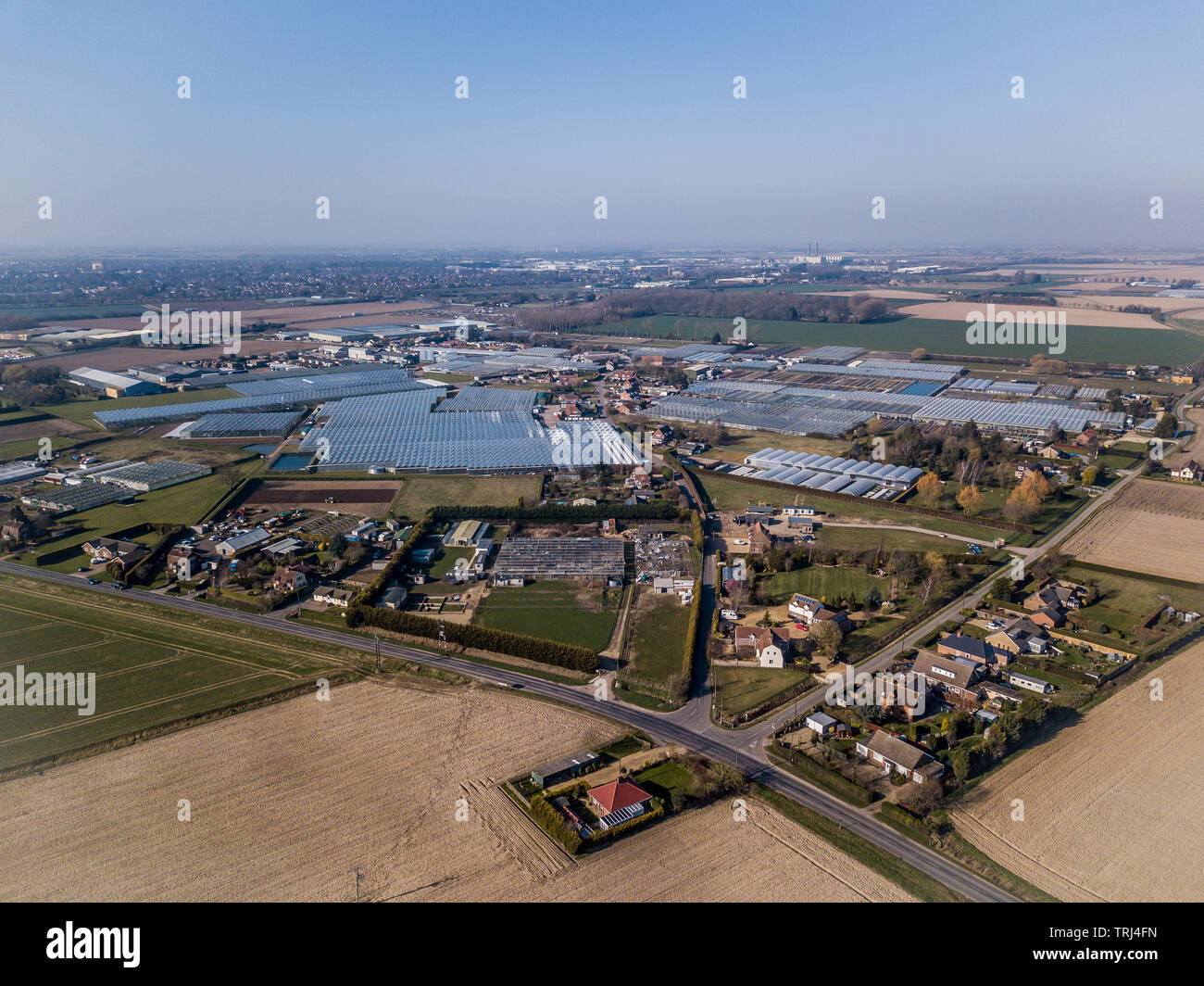 Aerial view of commercial greenhouses, the seat of UK horticulture in Spalding Lincolnshire. Stock Photo