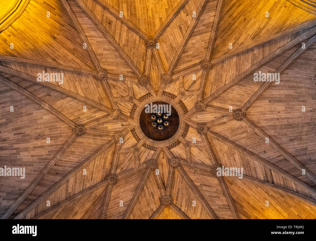 Ornate Brick Vaulted Ceiling Liverpool Cathedral Liverpool Uk