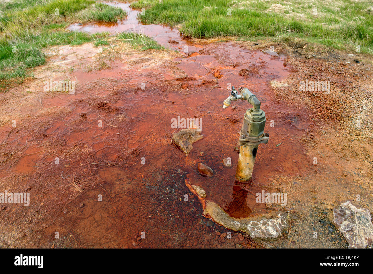 Iron rich mineral water spring fountian with red deposition in Iceland Stock Photo