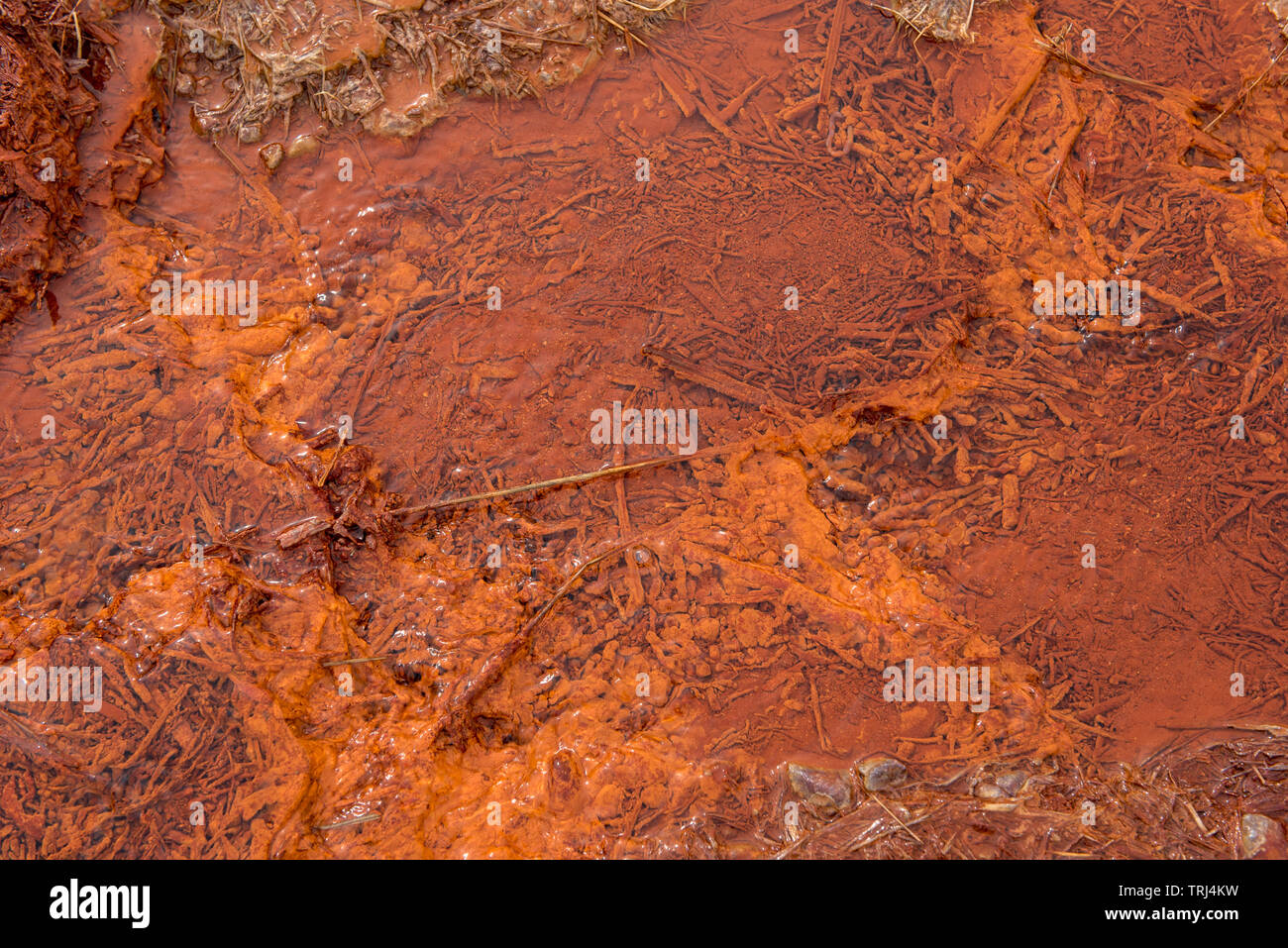 Iron rich mineral water spring with red deposition in Iceland Stock Photo