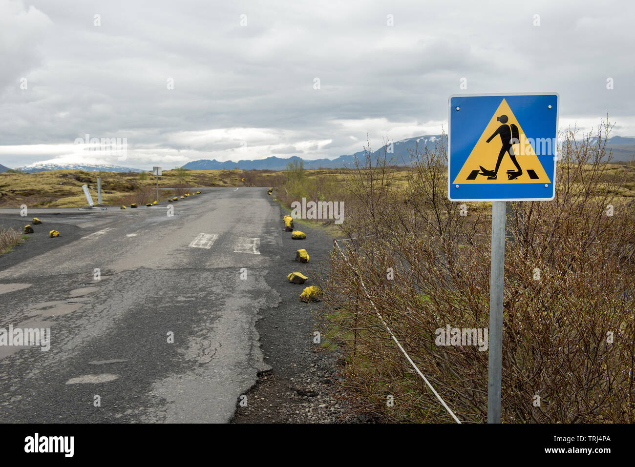 Diver crossing road sign near the Lake Thingvallavatn Silfra scuba and snorkeling site in Iceland Stock Photo