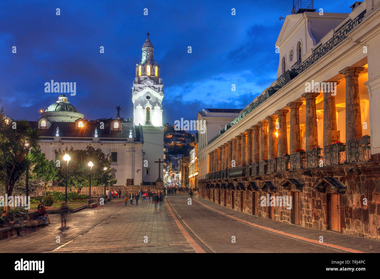 Night scene of Plaza Grande (Plaza de la Independencia) in Quito, Ecuador featuring Quito Cathedral and Carondelet Palace (Palacio de Carondelet), the Stock Photo