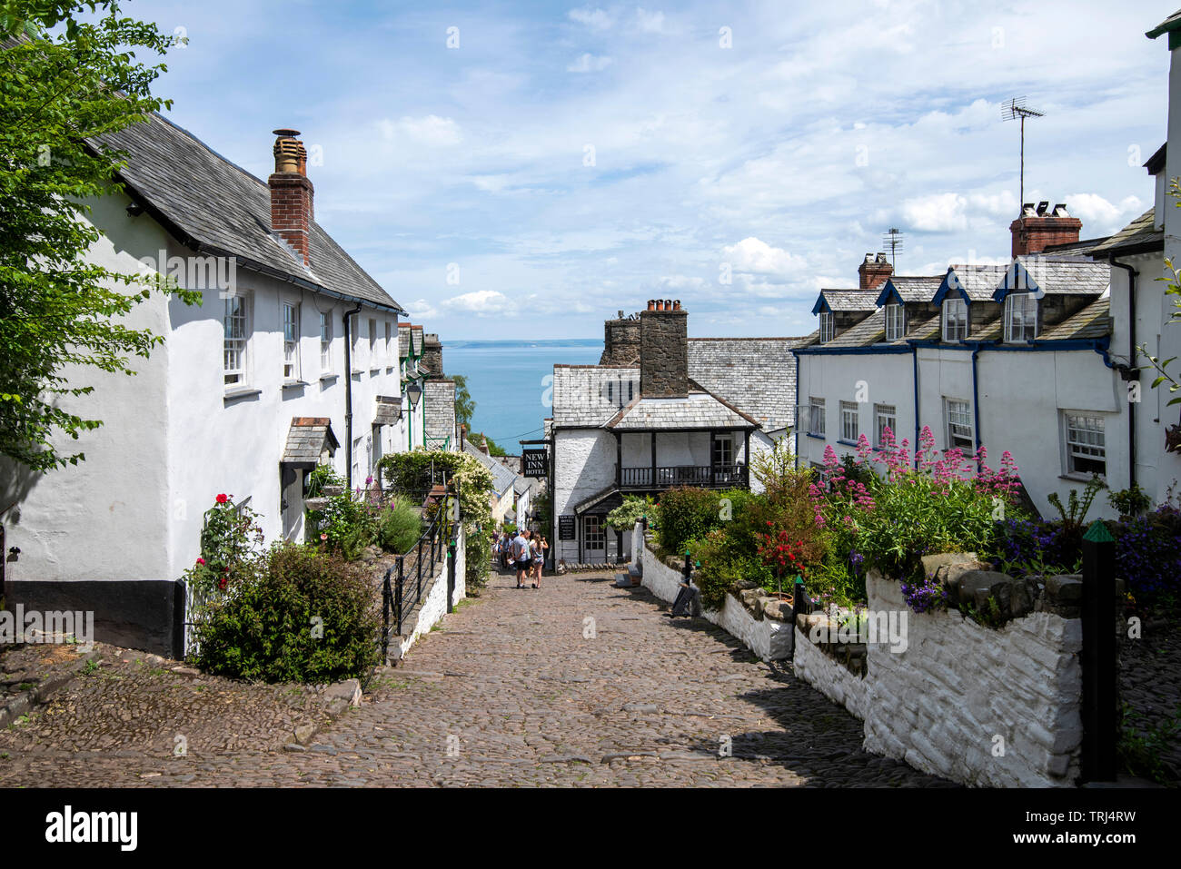 A sunny spring day on the cobbled streets of Clovelly, Devon England UK Stock Photo