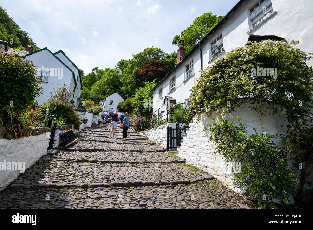 The steep climb up the cobbled streets of Clovelly, Devon England UK Stock Photo