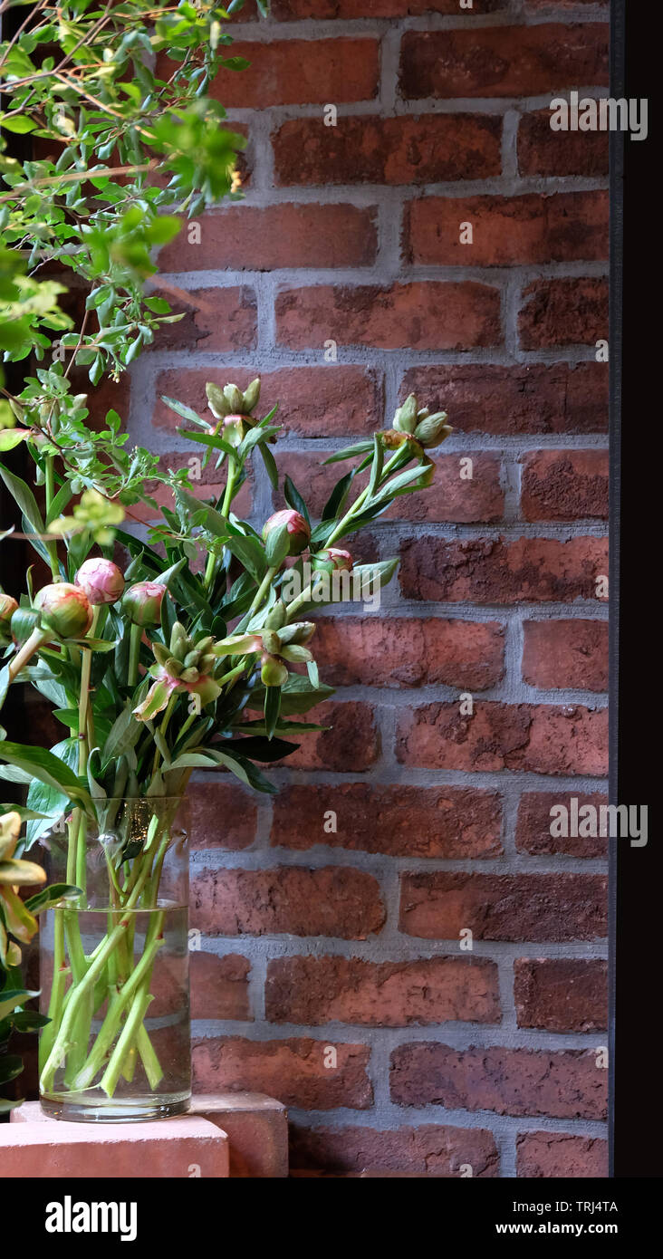 Bouquet of peony buds in a transparent glass vase, with plants and brick wall in the background. Stock Photo