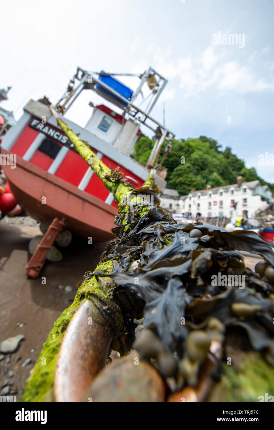 Close up of fishing boats on the beach at Clovelly, Devon England UK Stock Photo
