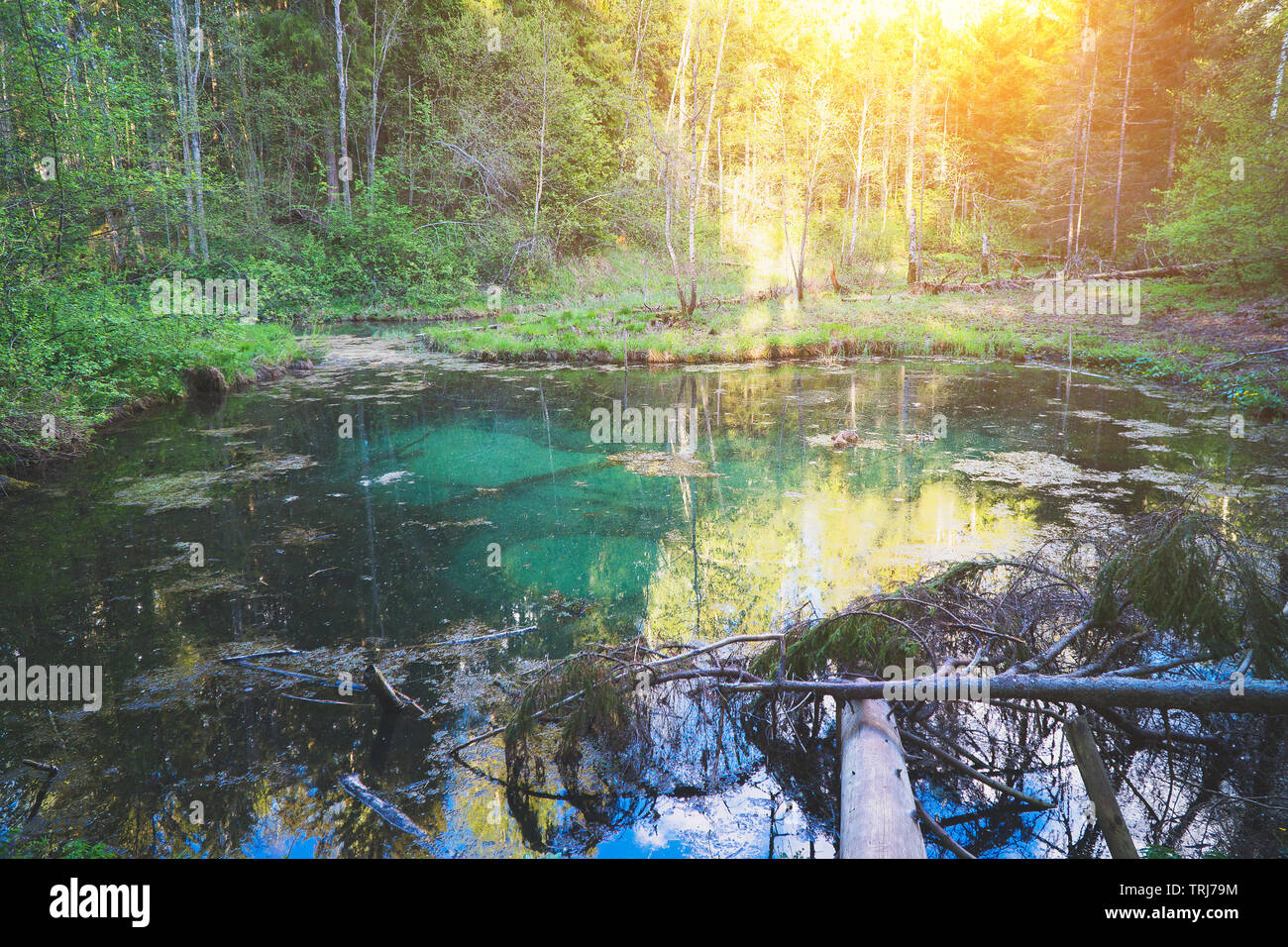Blue springs hi-res stock photography and images - Alamy