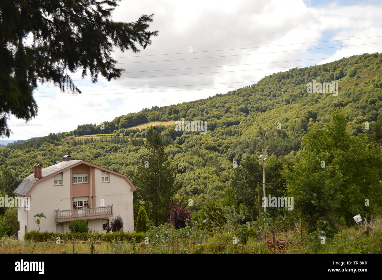 Beautiful House In The Magnificent Mountains Of Galicia Fills Valleys Pine Forests Meadows And Forests Of Eucalyptus In Becerrea. August 3, 2013. Bece Stock Photo