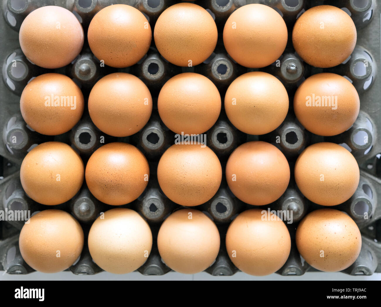 Egg tray black plastic stack for sale Stock Photo Alamy