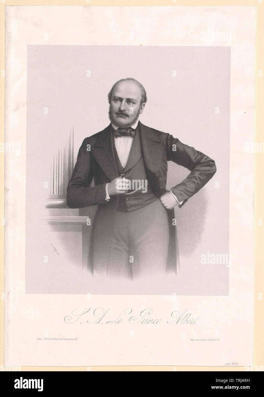 Albert, Prince consort of England Duke of Saxony Prince of Saxe-Coburg-Gotha, Additional-Rights-Clearance-Info-Not-Available Stock Photo