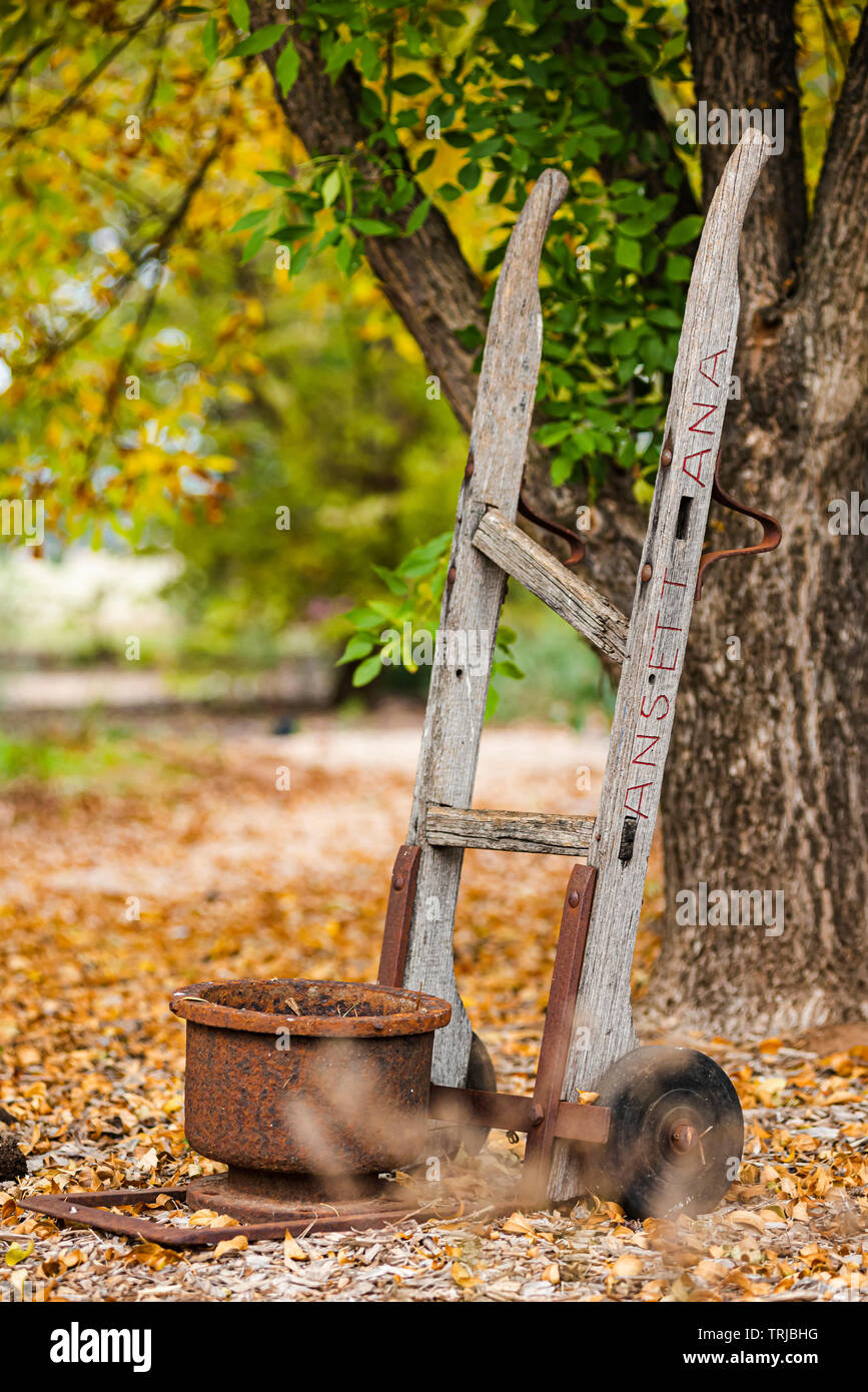 Old trolley with a pot in autumn garden Stock Photo