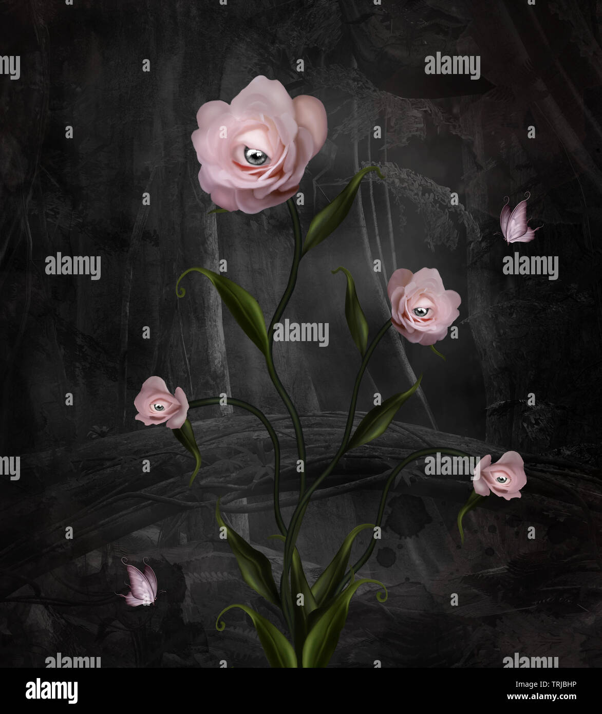 Surreal pink roses on a dark forest background Stock Photo