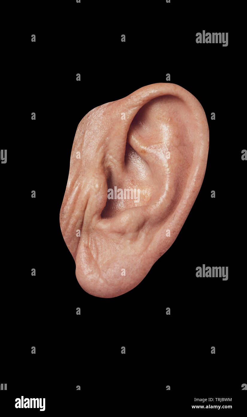 human ear detail close-up shot isolated Stock Photo