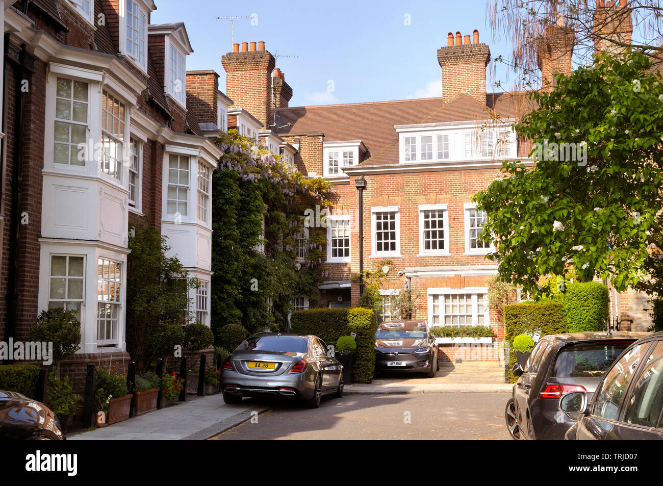 Chelsea Park Gardens is a post WWI development of Arts and Crafts style houses inspired by the Garden Suburb movement , Chelsea, London, England, UK Stock Photo