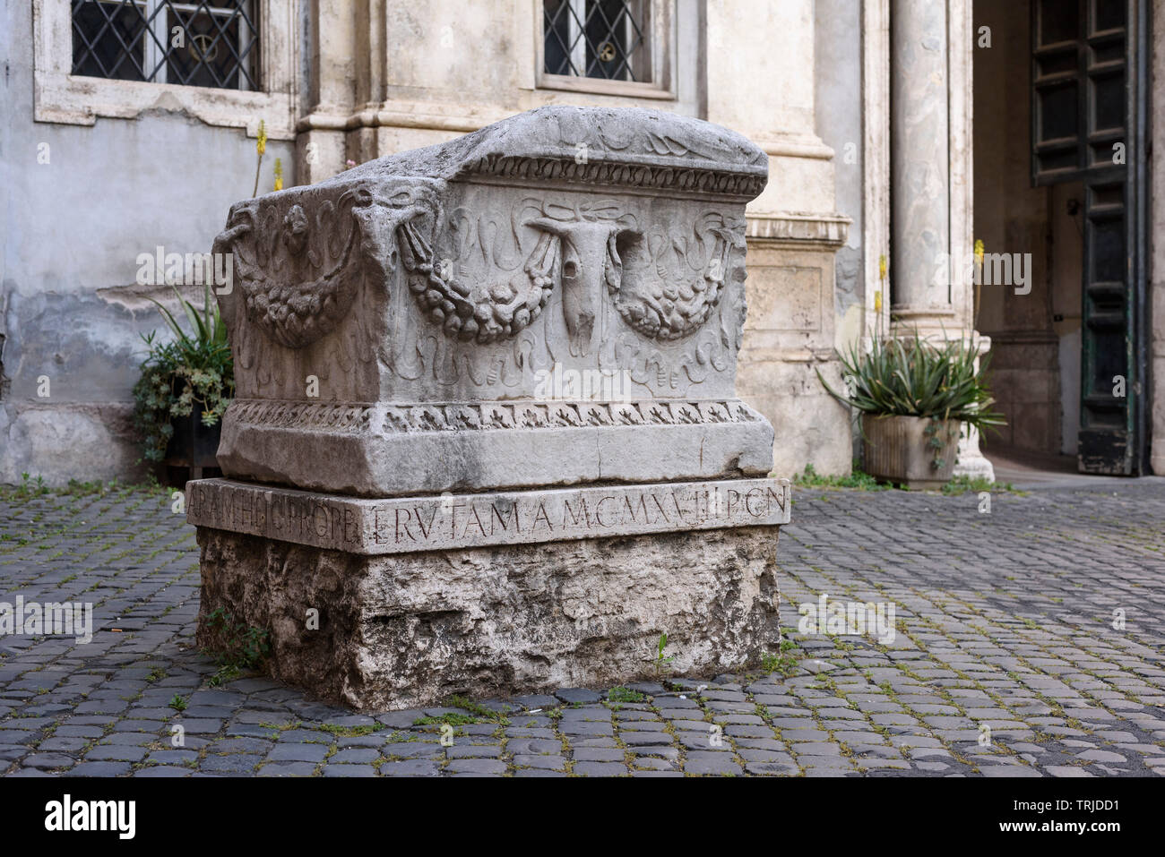 Rome. Italy. Ancient Roman ara (altar or funerary monument) decorated with a bucrania (ox scull) and garlands, outside the church of Santa Maria in Ca Stock Photo