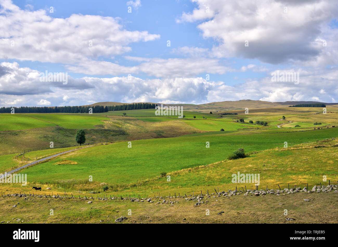 Wild landscape in the department of Cantal in Auvergne. France Stock Photo