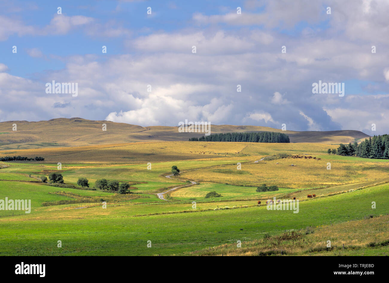 Wild landscape in the department of Cantal in Auvergne. France Stock Photo
