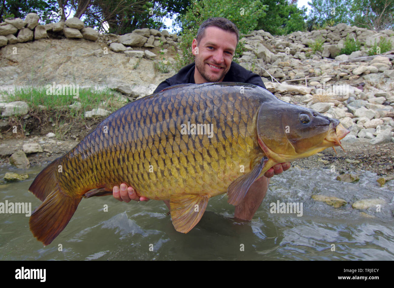 lucky fisherman holding a giant common carp. Freshwater fishing Stock Photo