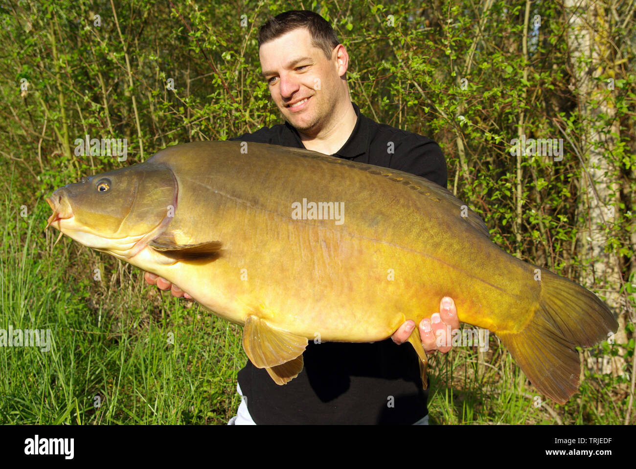 lucky fisherman holding a big leather carp. Freshwater fishing Stock Photo