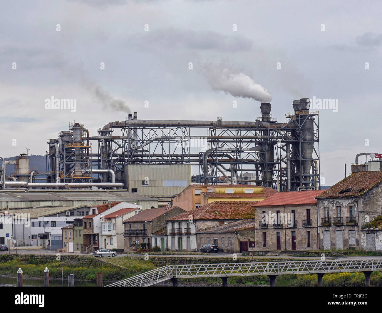 Spain, Financiera Maderera S.A. o Finsa, timber industry in Pedron