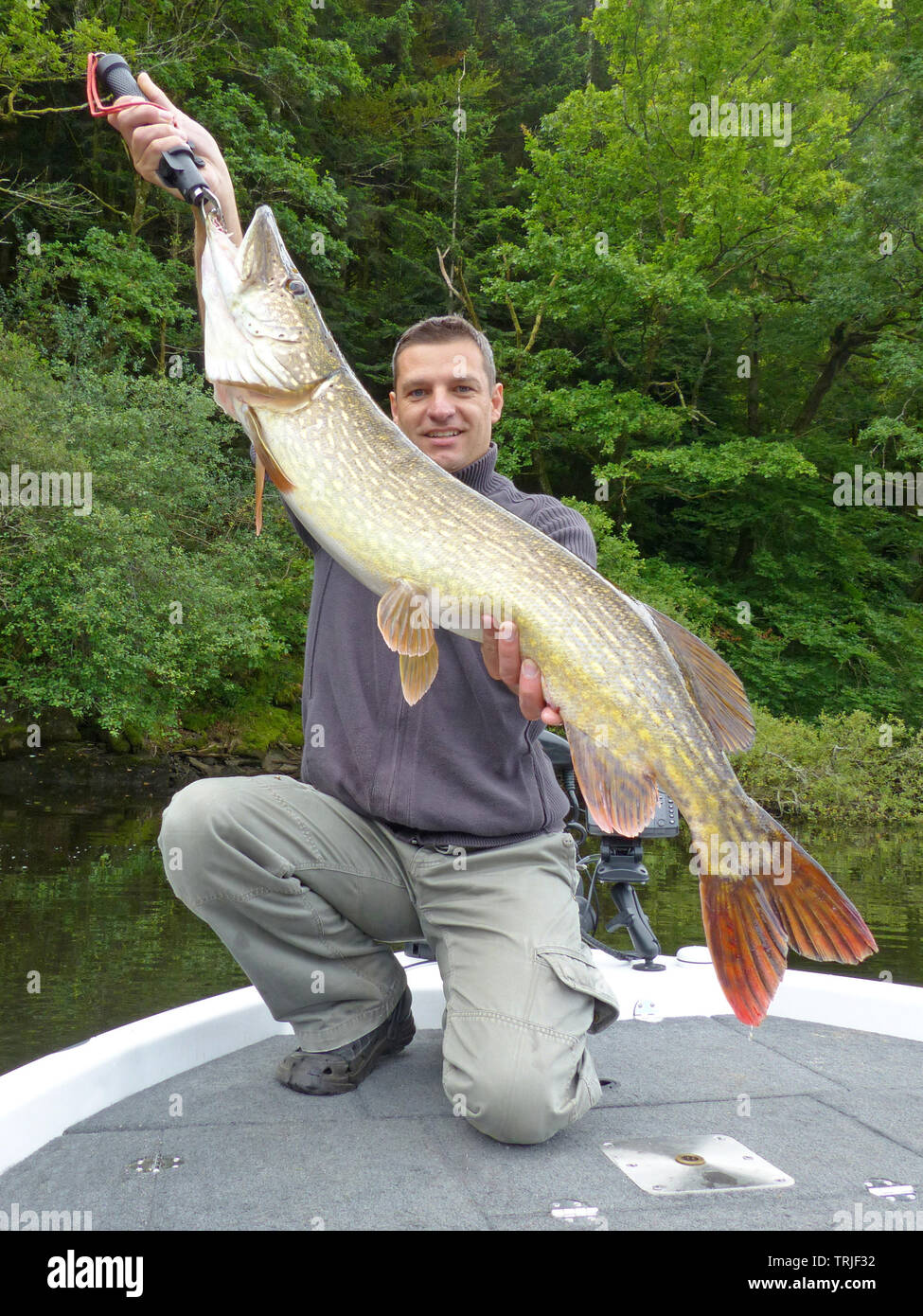 Fisherman holding a big pike. Catch of fish, freshwater fishing, lure  fishing Stock Photo - Alamy