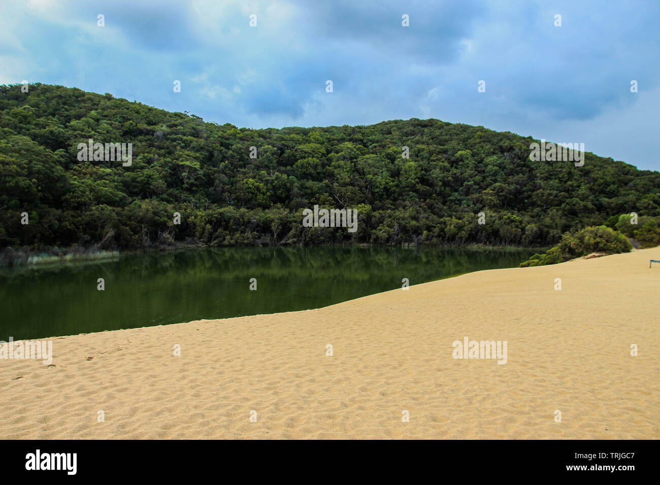 Lake Wabby and Hammerstone Sandblow on Fraser Island, Australia Stock