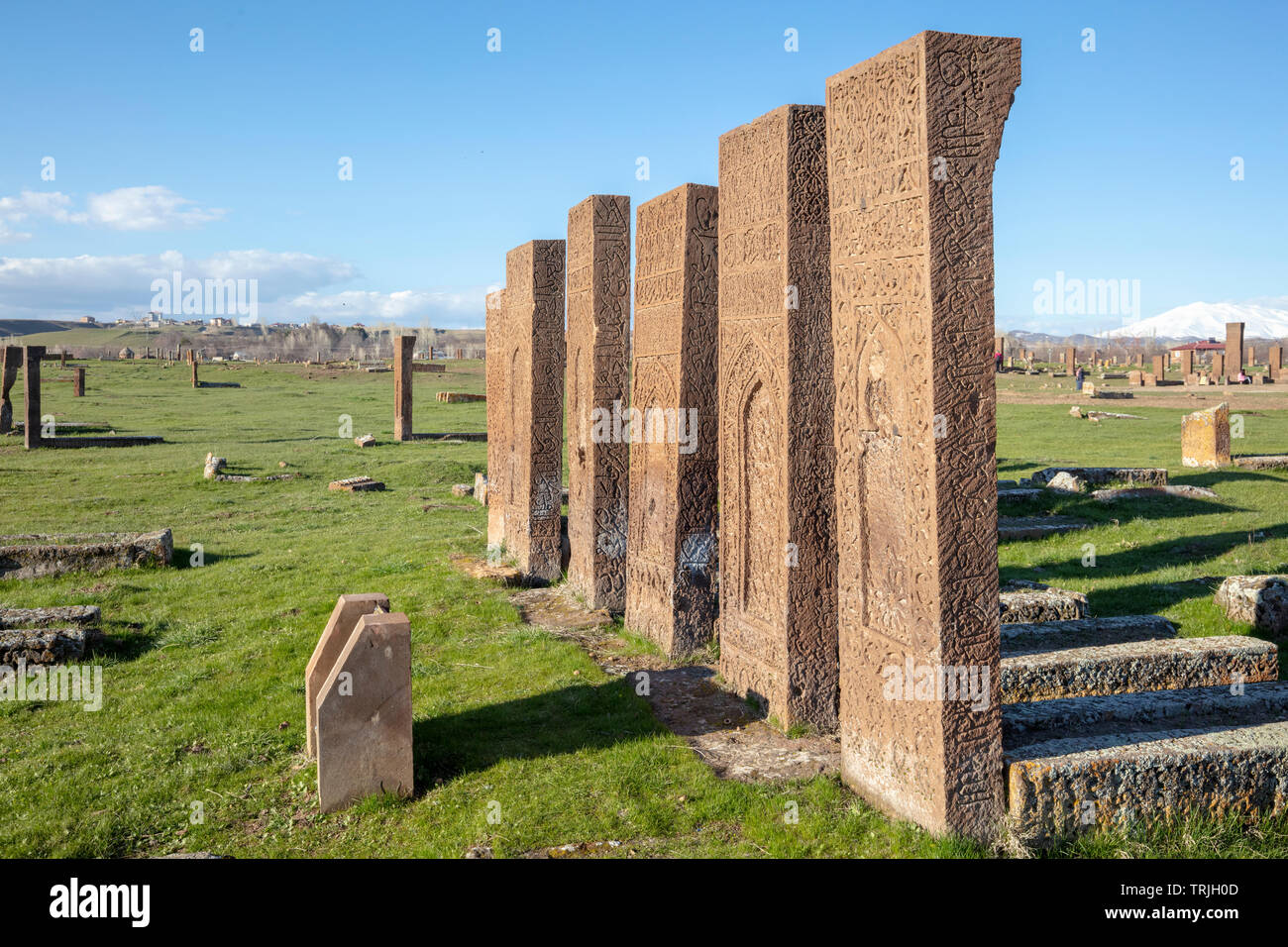 https www alamy com the tombstones of ahlat are famous for their dimension and designthe cemetery remains from selcuklu era and recorded in unesco world heritage list image255490717 html