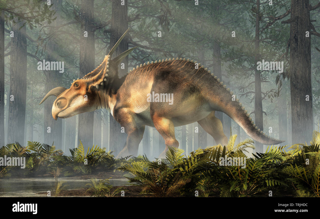 An Einiosaurus in a deep forest among ferns. Einiosaurus was a ceratopsian dinosaur, like the triceratops, from the Cretaceous period. 3D Rendering Stock Photo