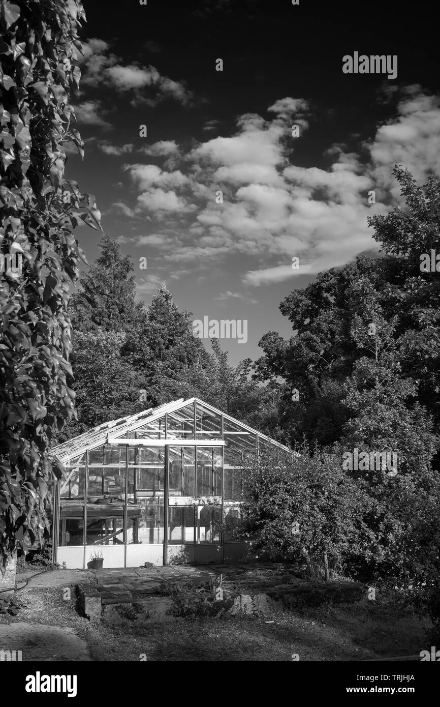 B&W. In late afternoon sunshine the greenhouse is highlighted and ready for the season. Leather Bank, Burley in Wharfedale, West Yorkshire, 06/06/19 Stock Photo