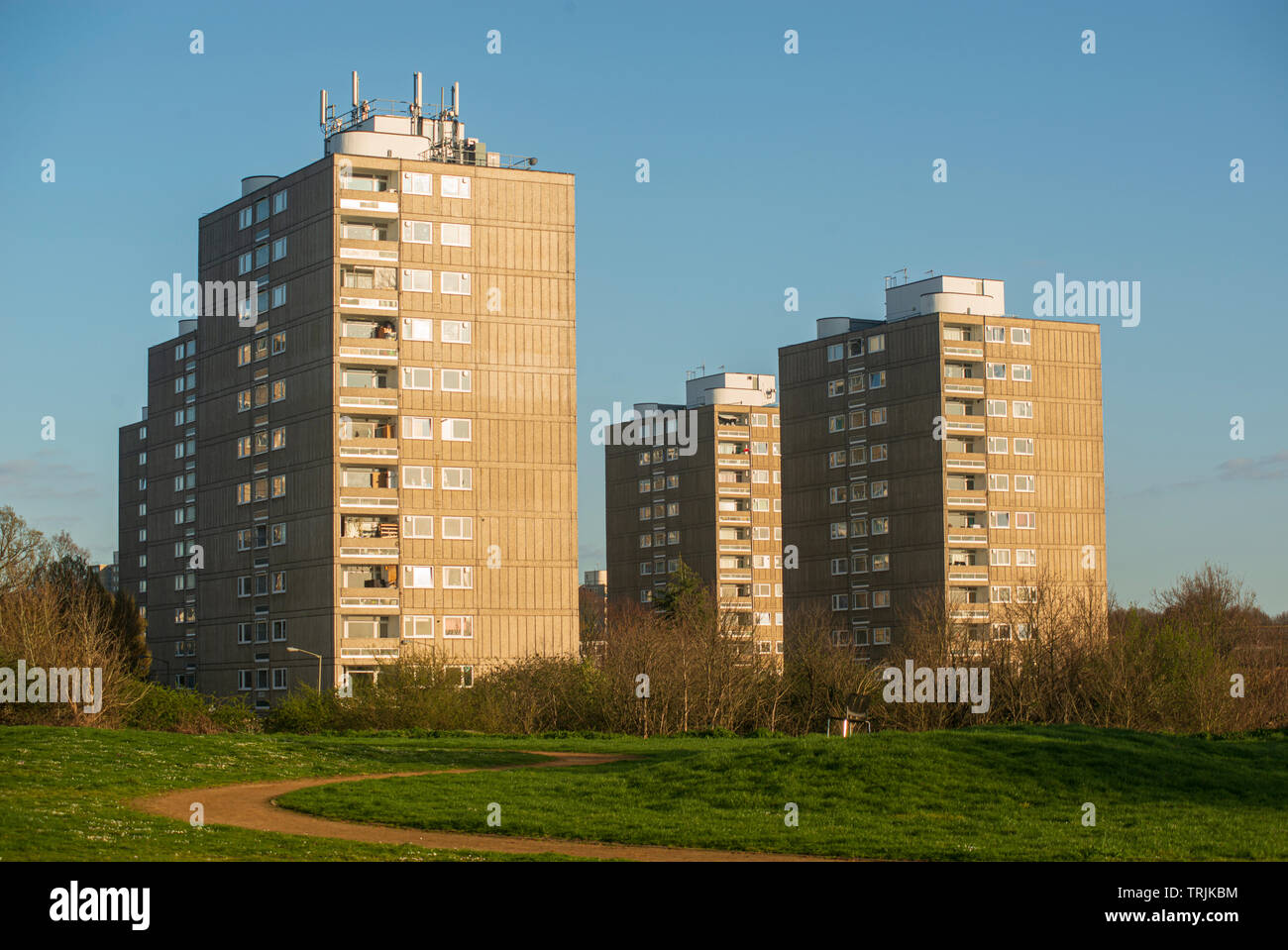 High rise housing, Roehampton Estate Stock Photo Alamy