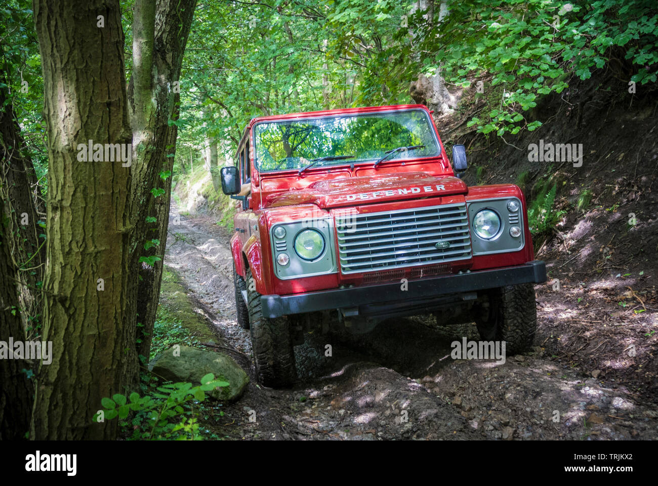 Red Land Rover Defender 110 4WD car navigating a Green Lane track, North Yorkshire Moors, UK. Stock Photo