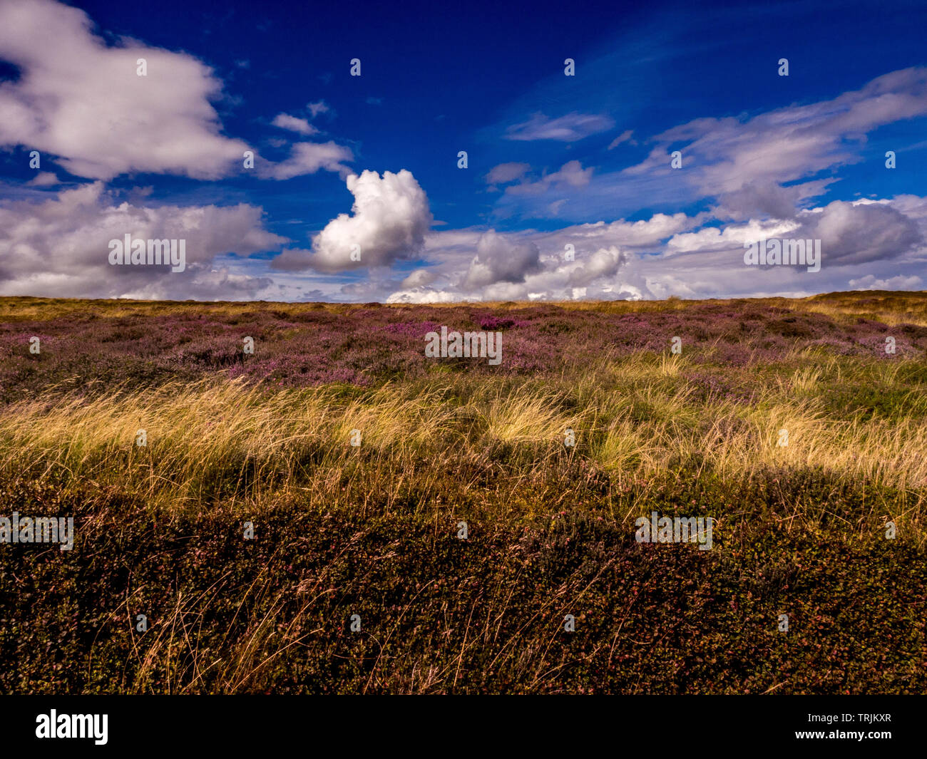Glaisdale Rigg, North Yorkshire Moors, UK. Stock Photo