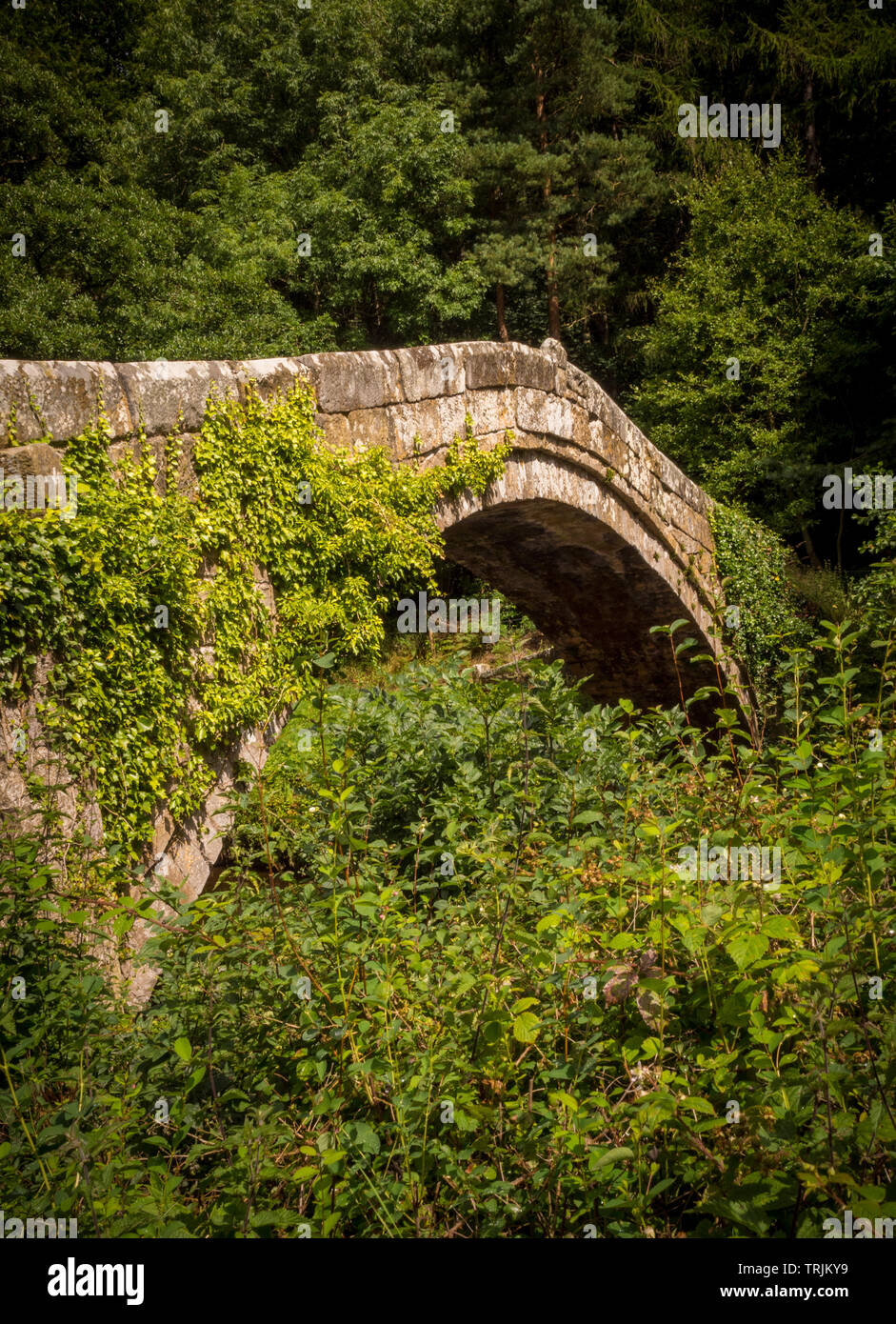 17th century bridge hi-res stock photography and images - Alamy