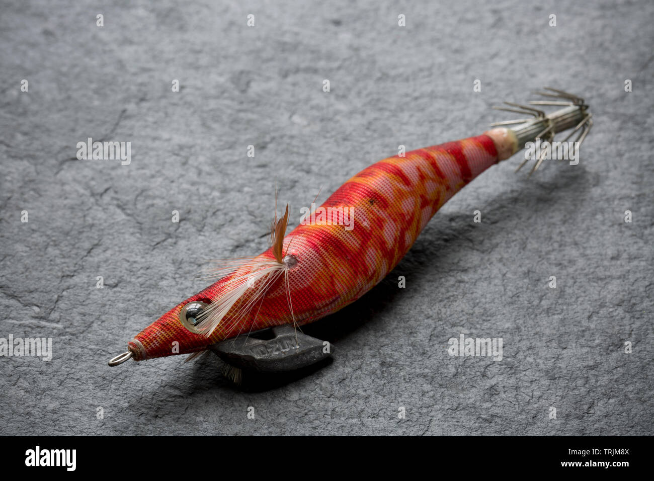 A Yo Zuri squid jig, or lure. Squid fishing has become popular in the UK both for commercial fishermen as well as recreational anglers. The lures are Stock Photo