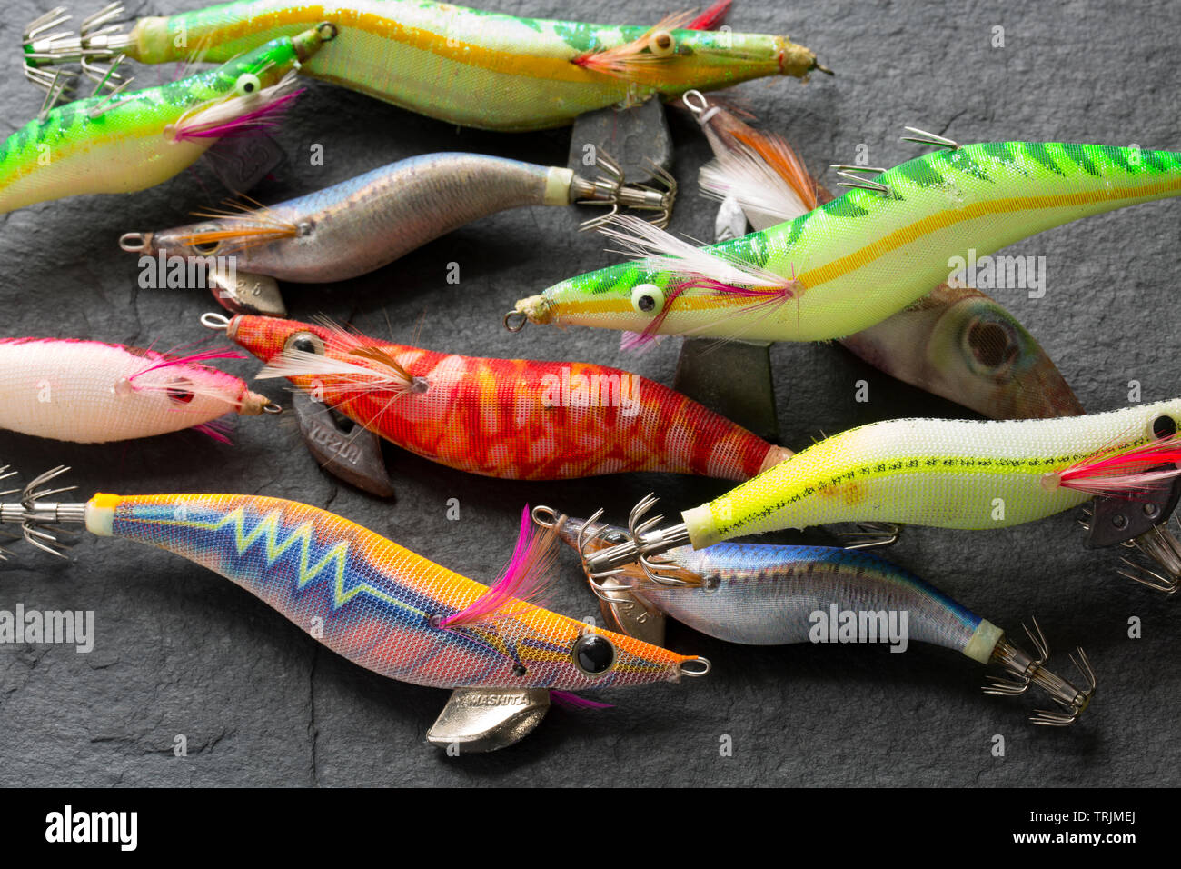 Lures squid hi-res stock photography and images - Alamy